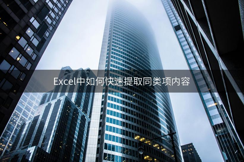 Excel中如何快速提取同类项内容