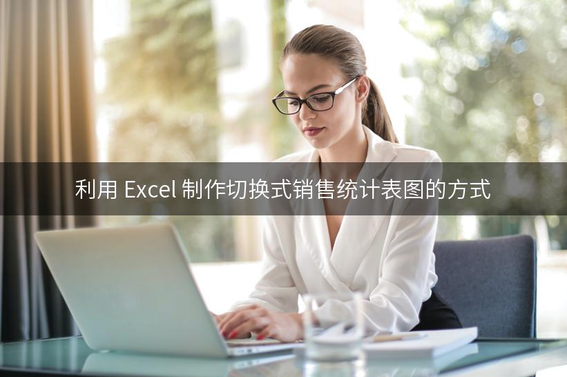 利用 Excel 制作切换式销售统计表图的方式