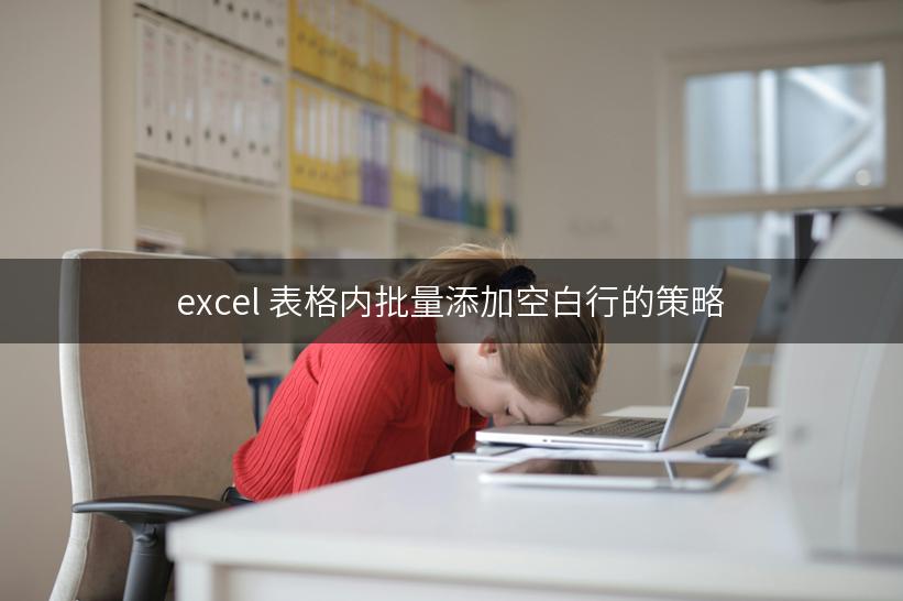 excel 表格内批量添加空白行的策略