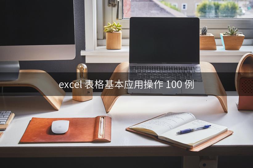 excel 表格基本应用操作 100 例