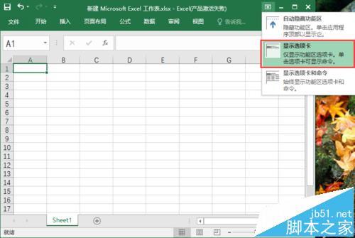 Excel 表格里放置图片的教程步骤