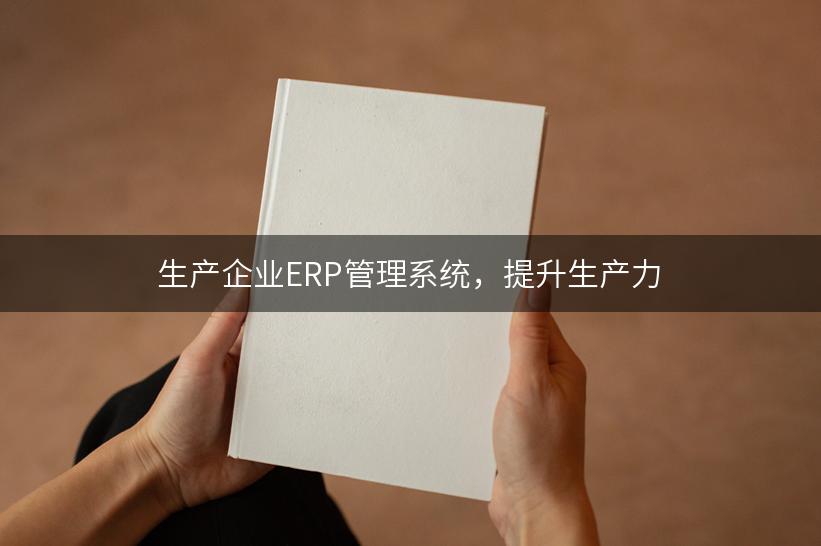 生产企业ERP管理系统，提升生产力