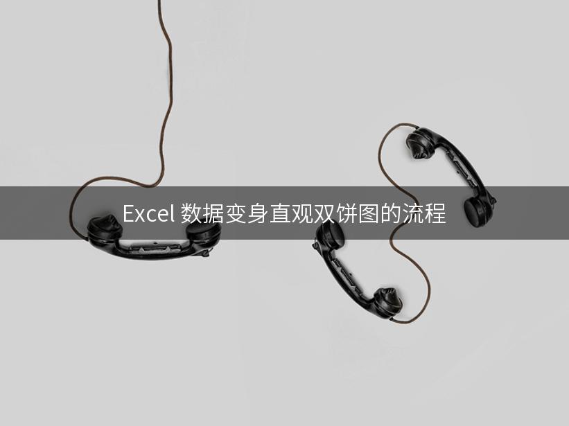 Excel 数据变身直观双饼图的流程