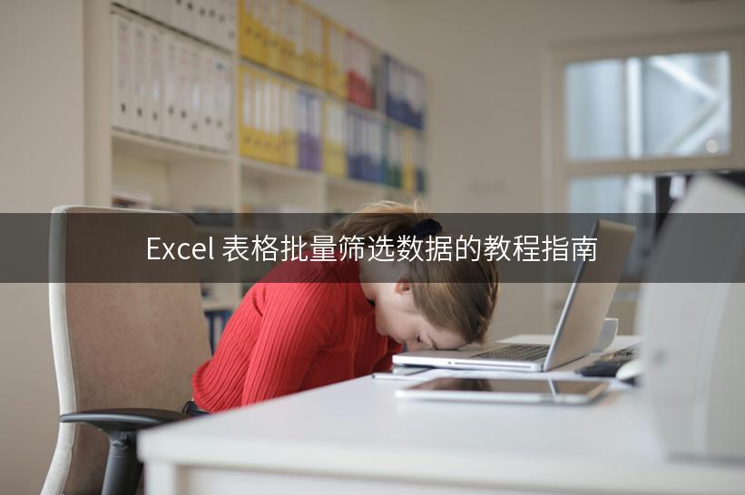 Excel 表格批量筛选数据的教程指南