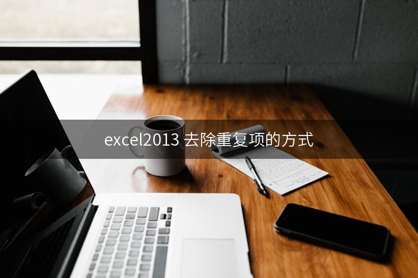 excel2013 去除重复项的方式