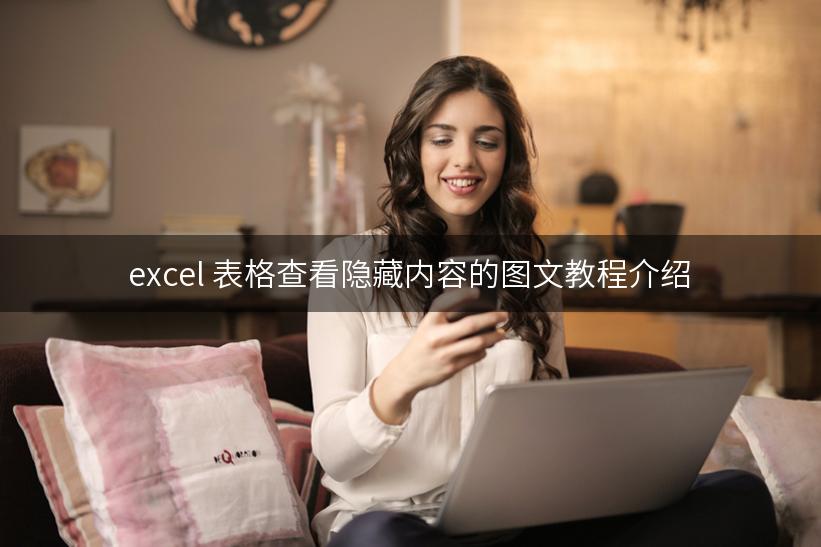 excel 表格查看隐藏内容的图文教程介绍