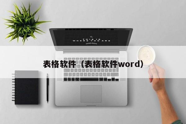 表格软件（表格软件word）