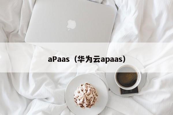 aPaas（华为云apaas）