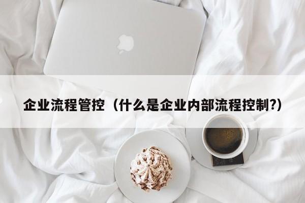 企业流程管控（什么是企业内部流程控制?）