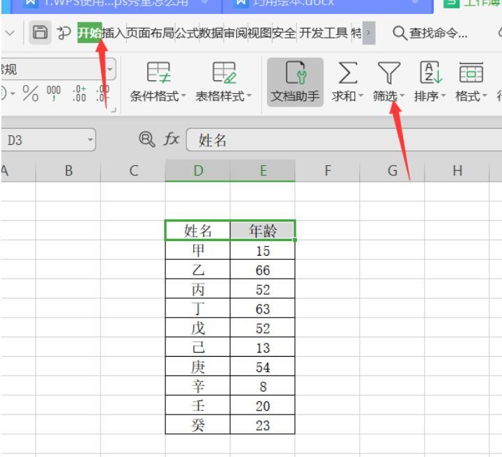 WPS 中如何使用筛选器进行筛选分类