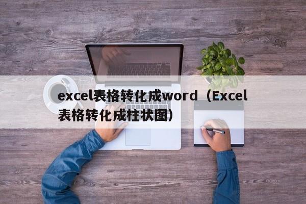 excel表格转化成word（Excel表格转化成柱状图）